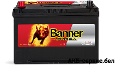 Banner Power Bull P95 05